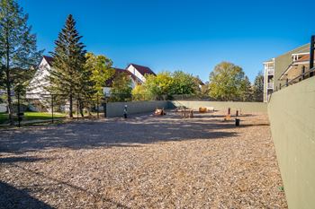 Dog park
